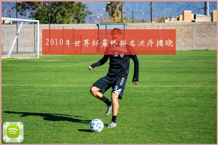 2010年世界杯最终排名次序揭晓