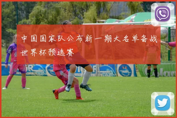 中国国家队公布新一期大名单备战世界杯预选赛